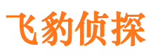 碑林市私家侦探